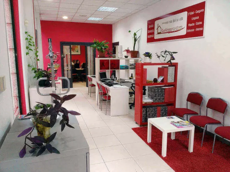 Servicio doméstico en León